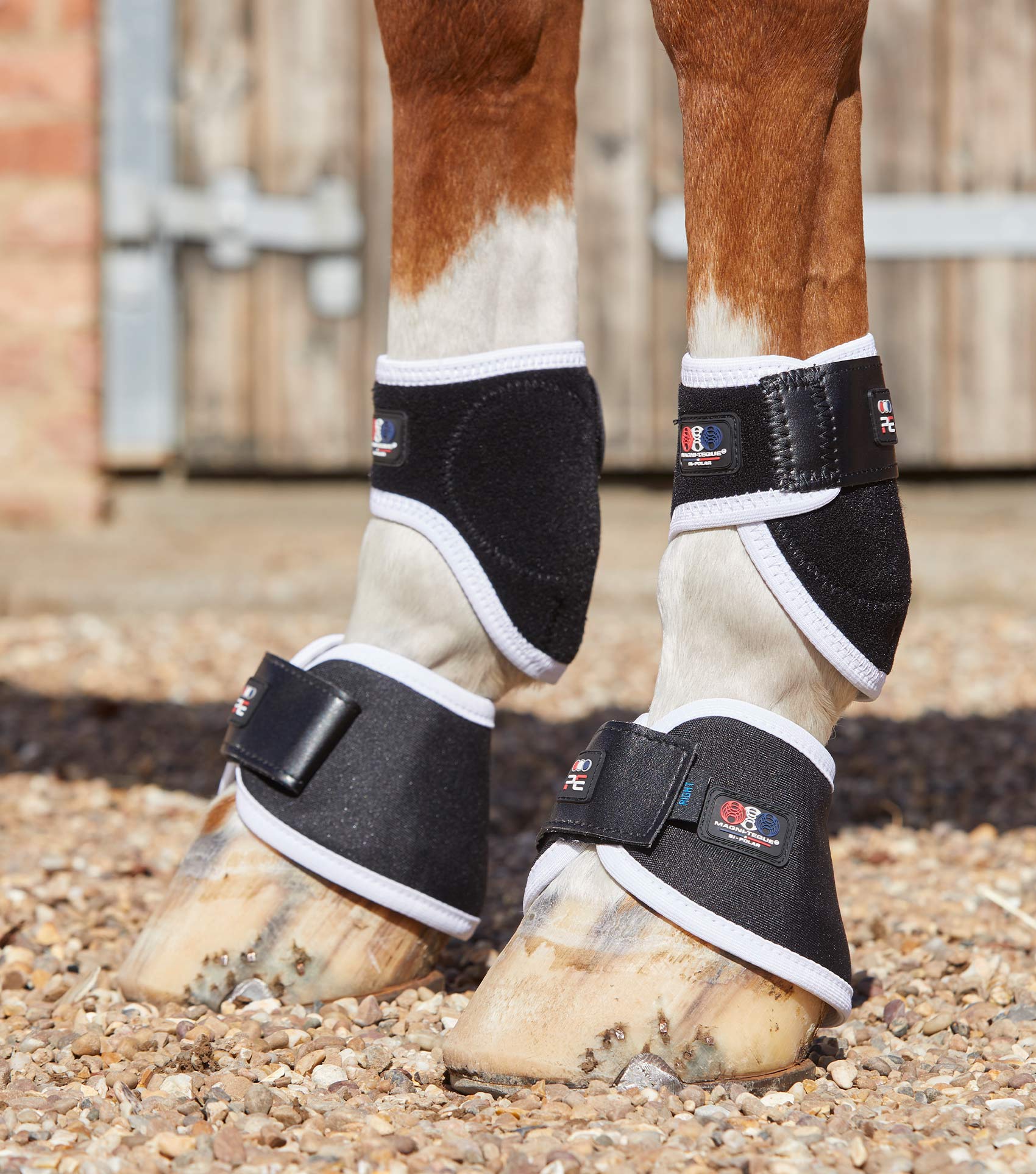 Magnetic sales fetlock boots