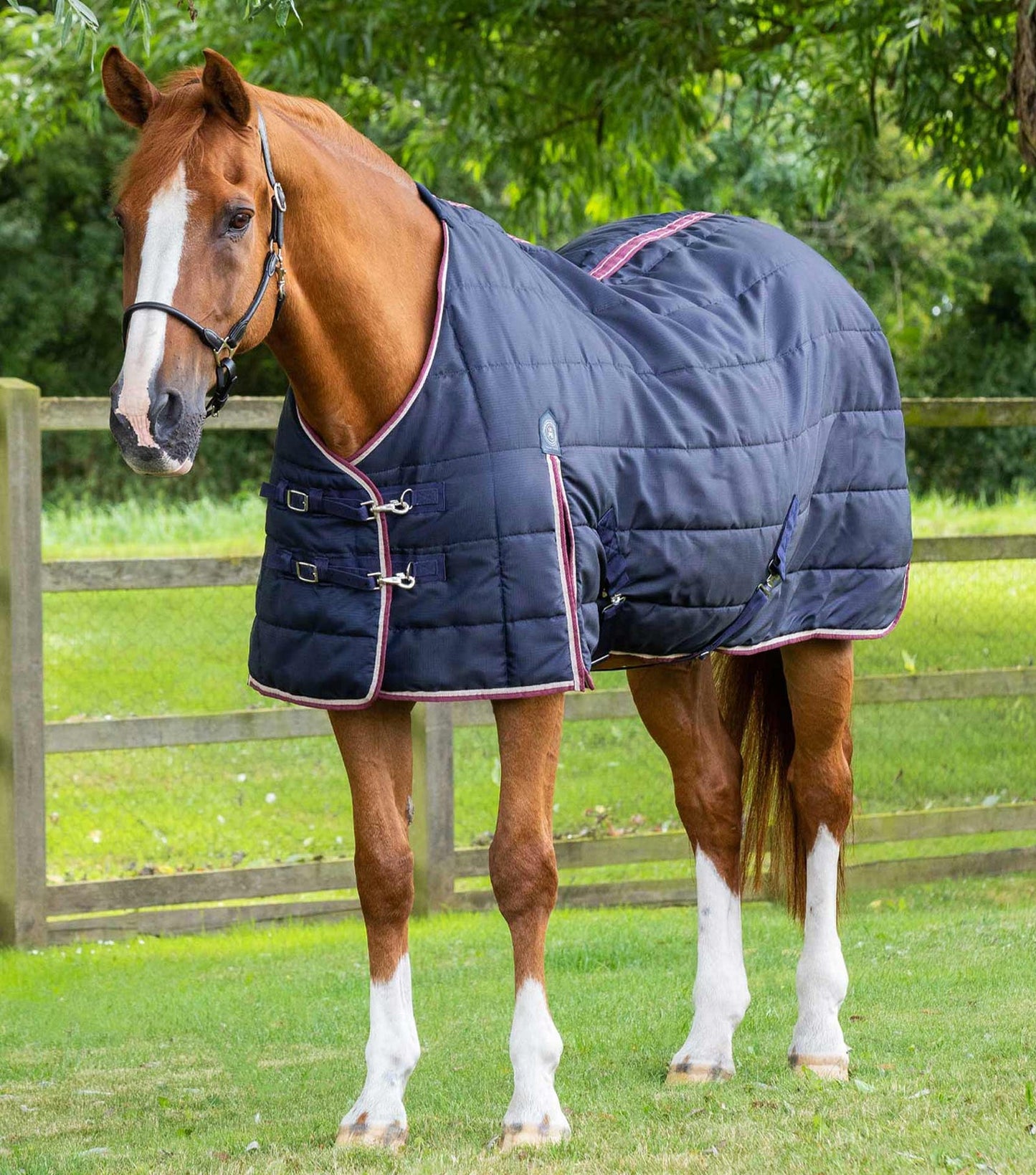 Premier Equine Garissa 100g Stable Rug